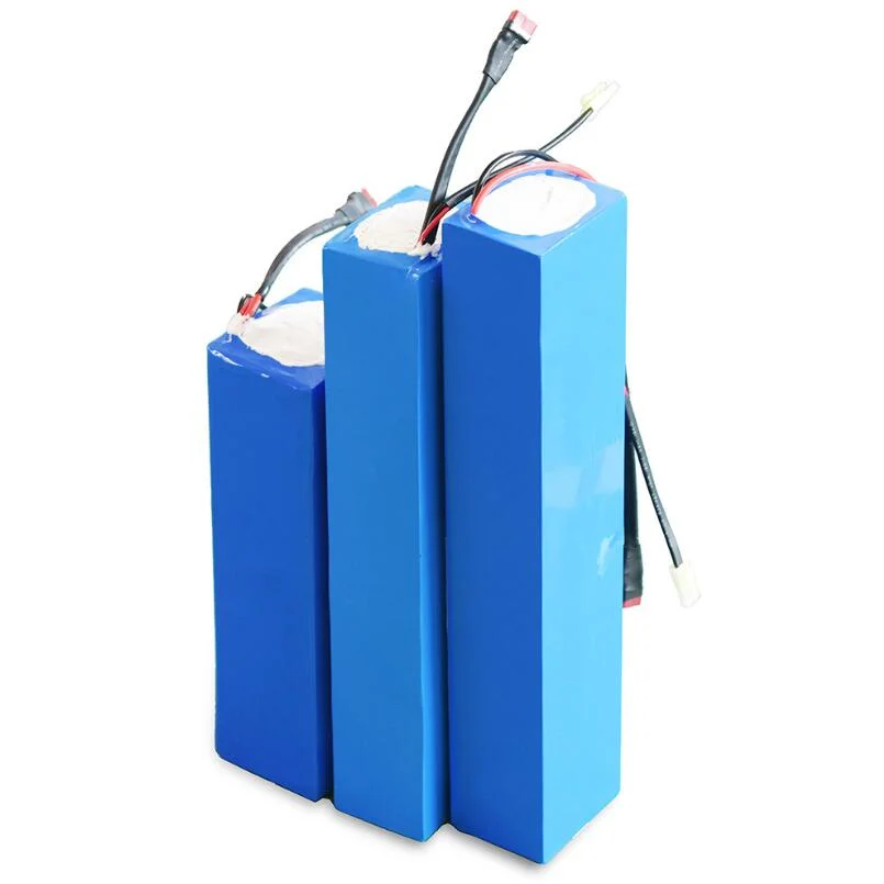 充電式リチウムイオンバッテリーパック12V24V 36V48V電動 充電式リチウムイオンバッテリーパック12V24V 36V48V電動