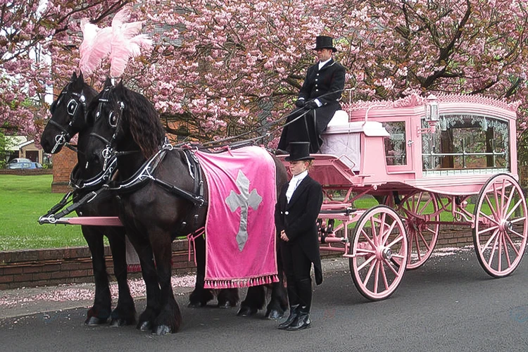 Customized Funeral Hearse Horse Carriage Modern Casket Chariot Horse Drawn Carriage Royal Design Funeral Hearse Wagon/Carriage