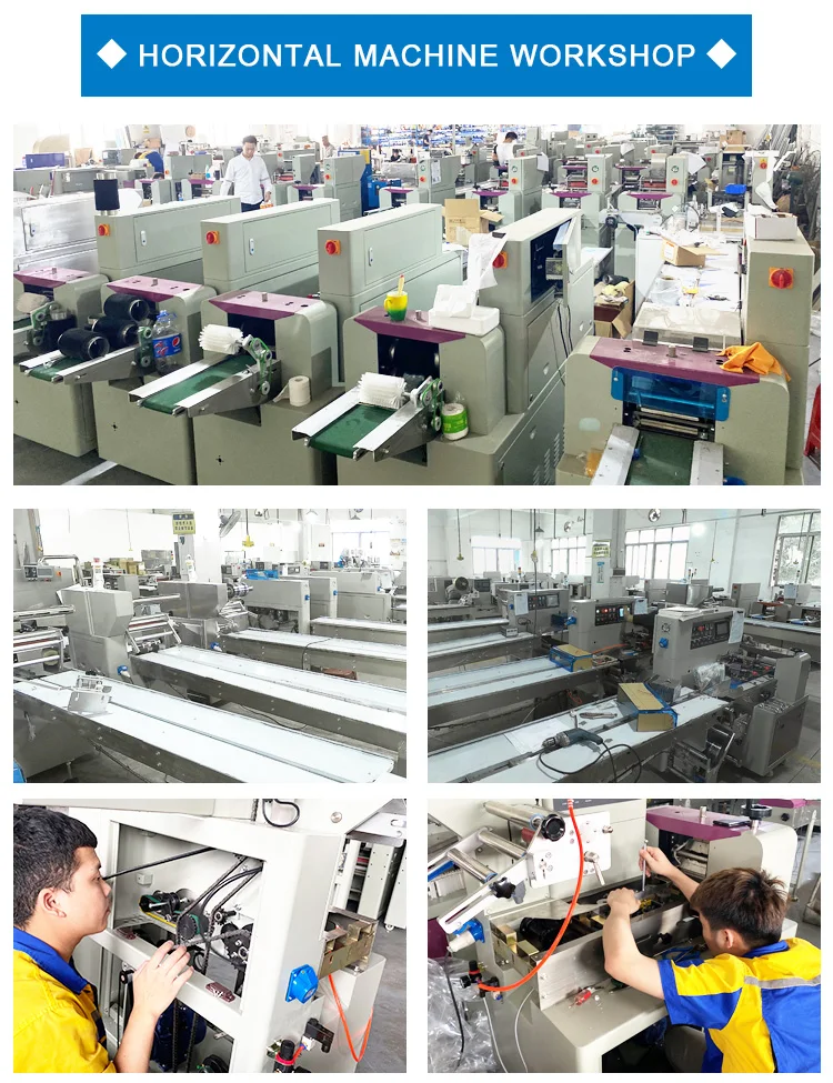 DS-250X Good Quality Automatic Horizontal Pillow Roll Nut/Candy/Bread  Packaging Sealing Machine