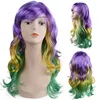 Long Curly Wig