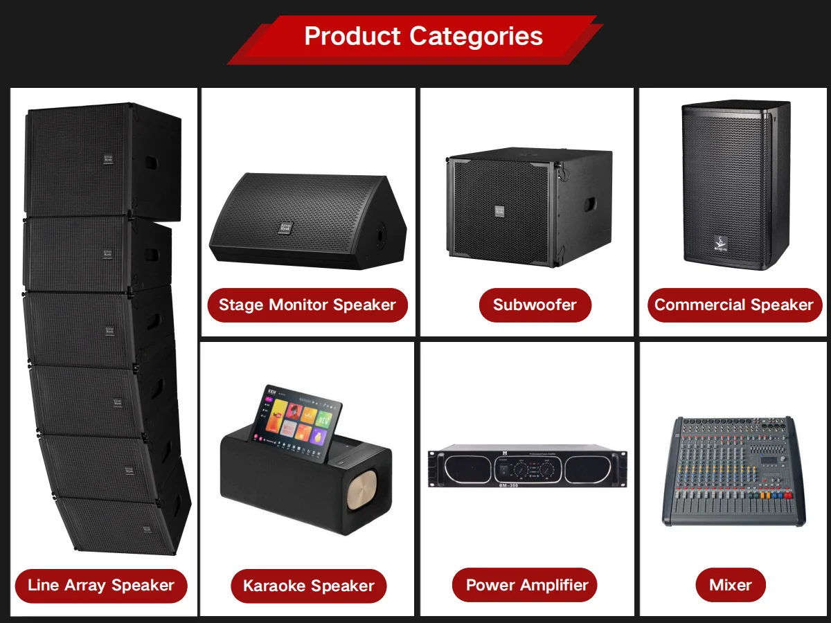 10 Inch 250W Full-Range Professional Speaker for DJs and Clubs ...
