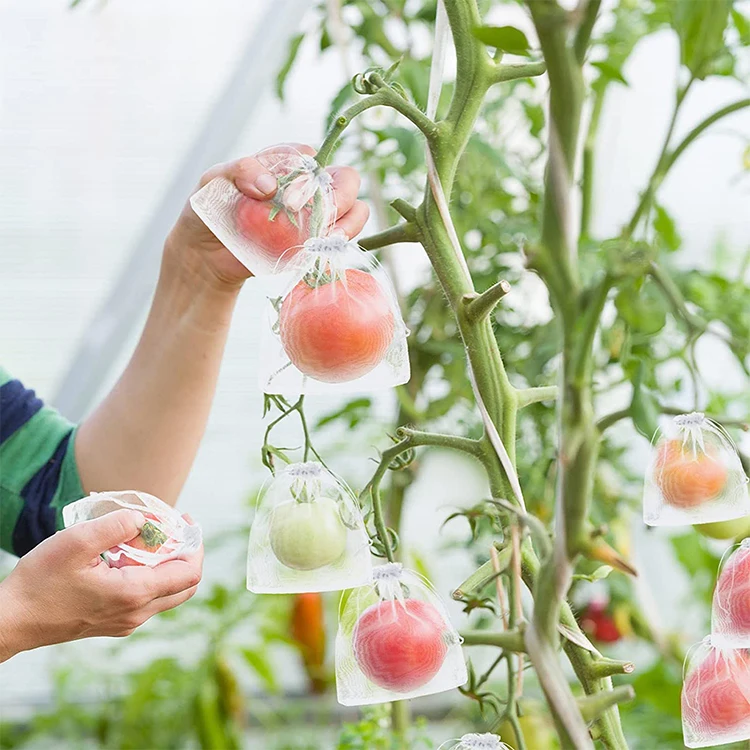 Borsa a rete per vigneto in Nylon per uva, frutta vegetale