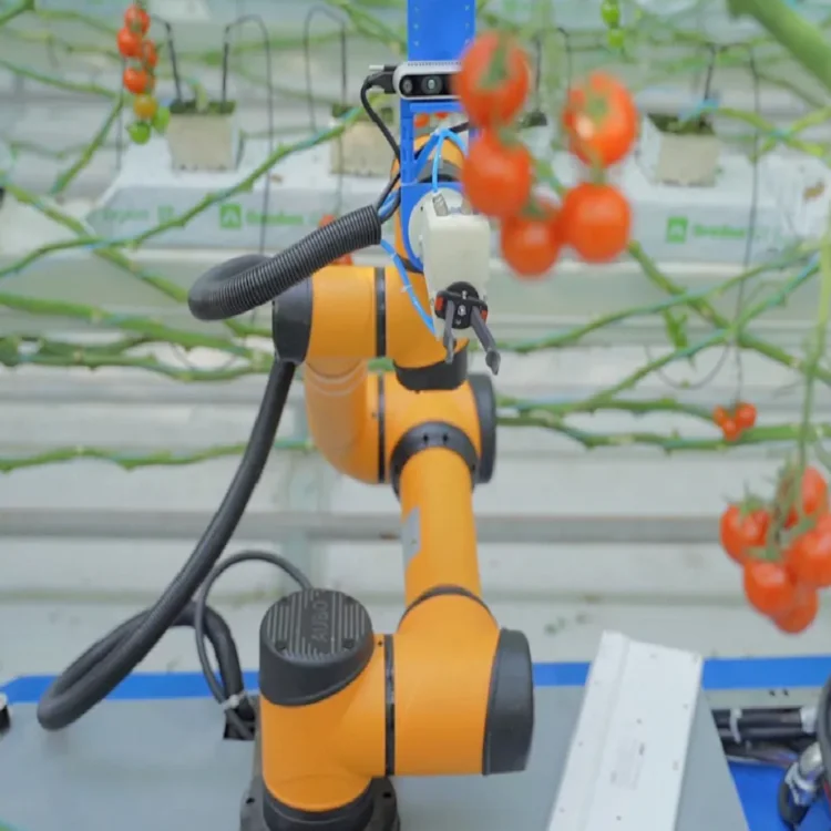 Source AUBO Collaborative Robot With Robotic Arm For Farm Delivery And Orchard Flowers And Fruits As AGV Robot on