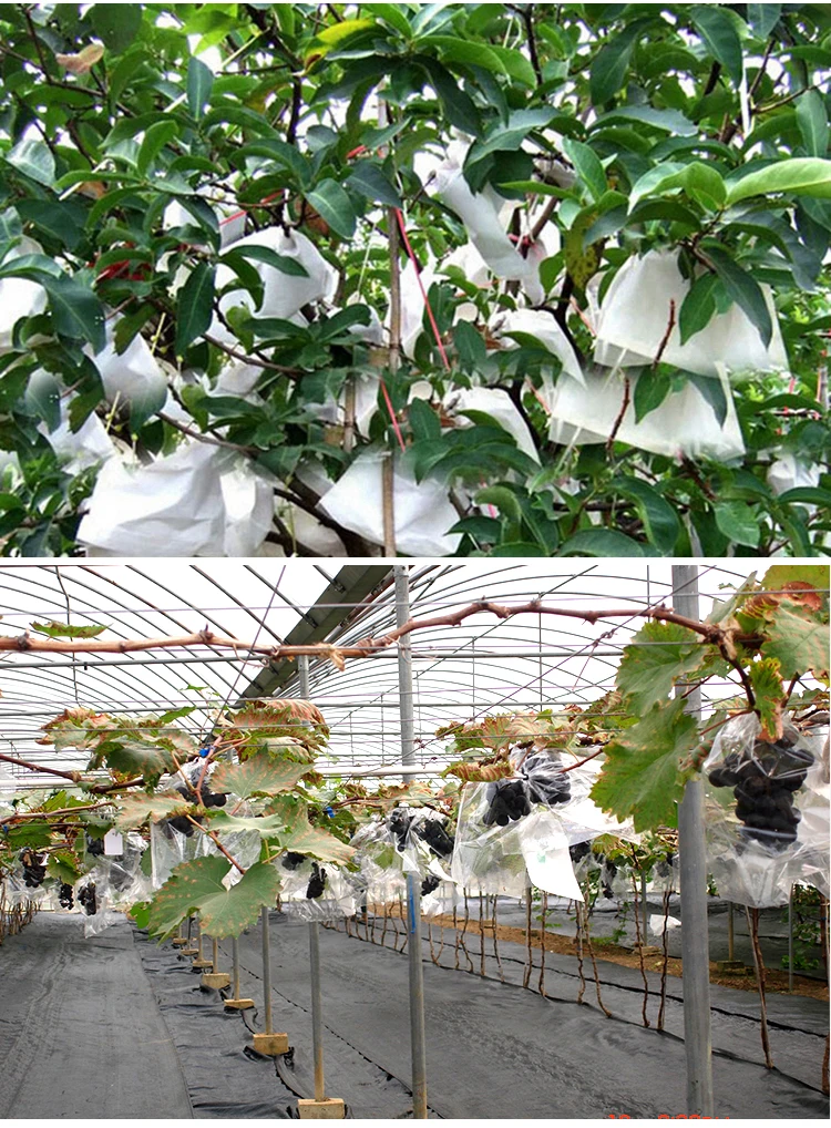 100% Polypropylene UV Stabilized Row Cover to USA Market