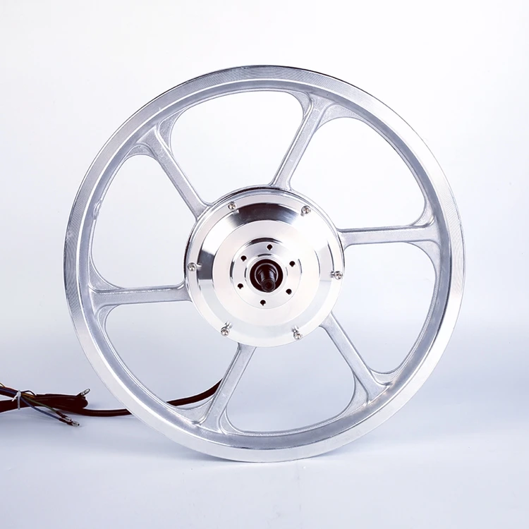 DGWZ 16 Inch Electric Bike Motor - 24/36/48V Brushless Hub