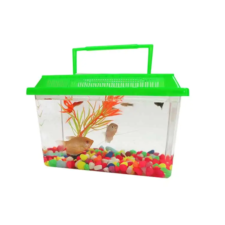 Fabrikpreis Mini Tragbares Plastik-aquarium Mit Deckel Fischzuchtbox Schildkröten-reptilien Kleines Pp-aquarium