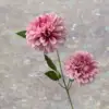 MIX--#9