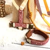 Set Pettorina con Guinzaglio e Collare Rosso Rosa