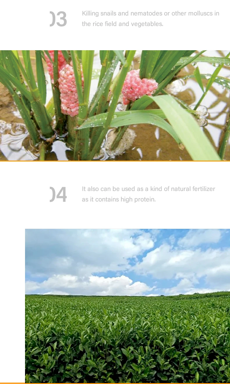 Wholesale Natural Organic Fertilizer Tea Seed Meal For Agriculture Flower Plant Golf Course