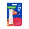 Fraise 2,7g 22057