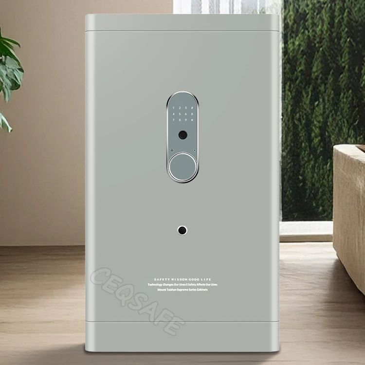 CEQSAFE Fingerprint Password Safe with Comprehensive Screen Protector Small WIFI Remote Anti-Theft Features supplier