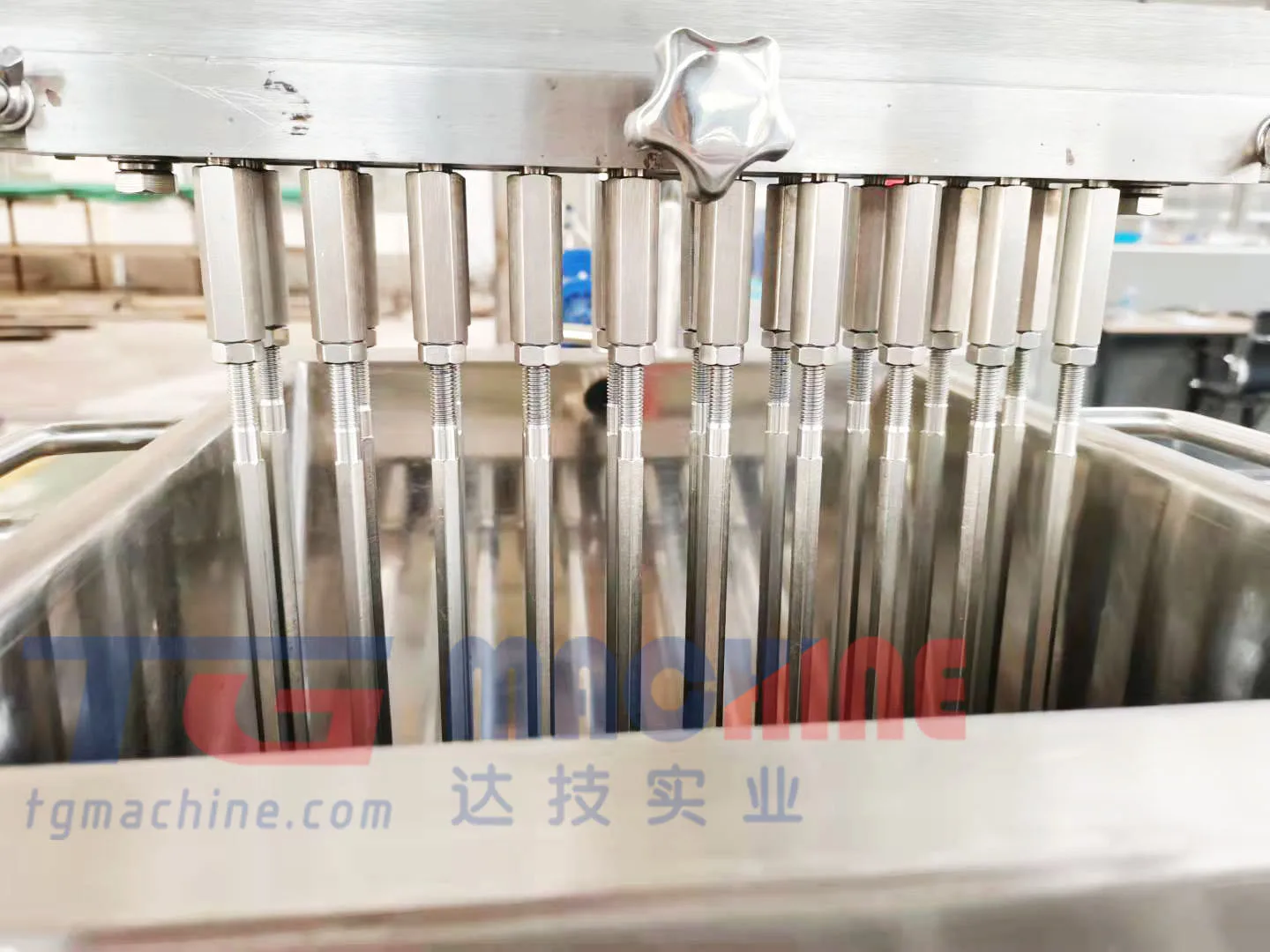 TG автоматическая машина для производства жевательных резинок с другими закусочными