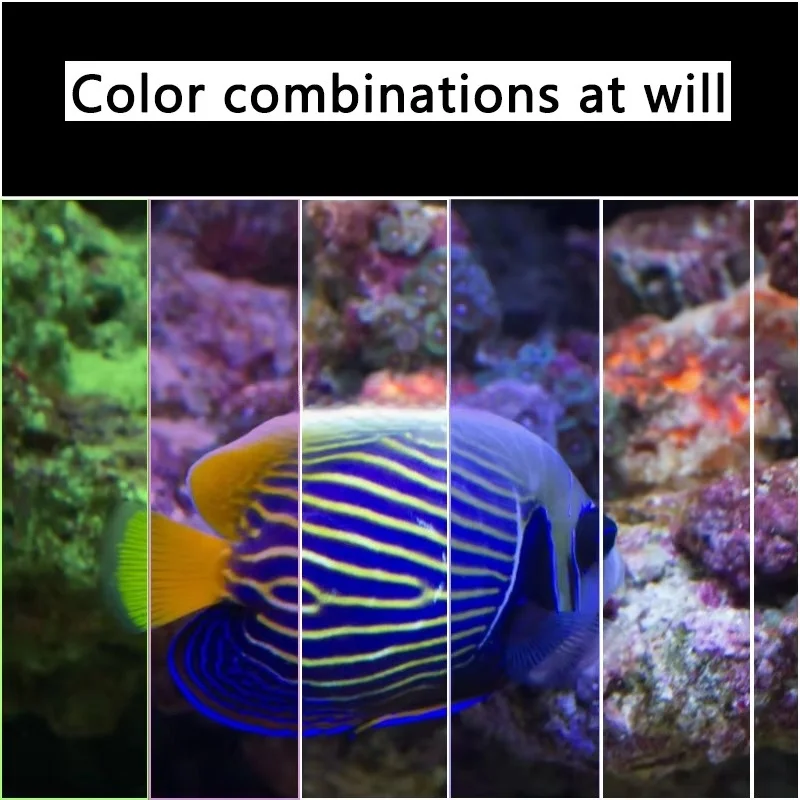 FactoryWRGBFull-spectrum, application-specific controllable LED aquarium light，Used for Coral Reef Lighting