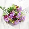 F04 Rosa