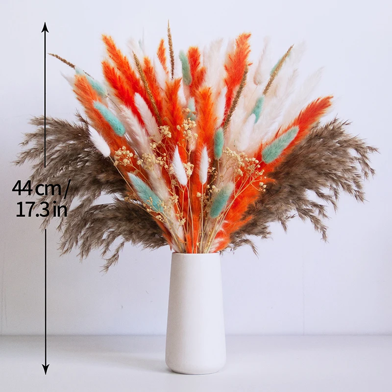 New Designed Colorful Bohemian Home Decor Popular Dried Flower Small Pampas Grass Rabbit Tail Bouquet details