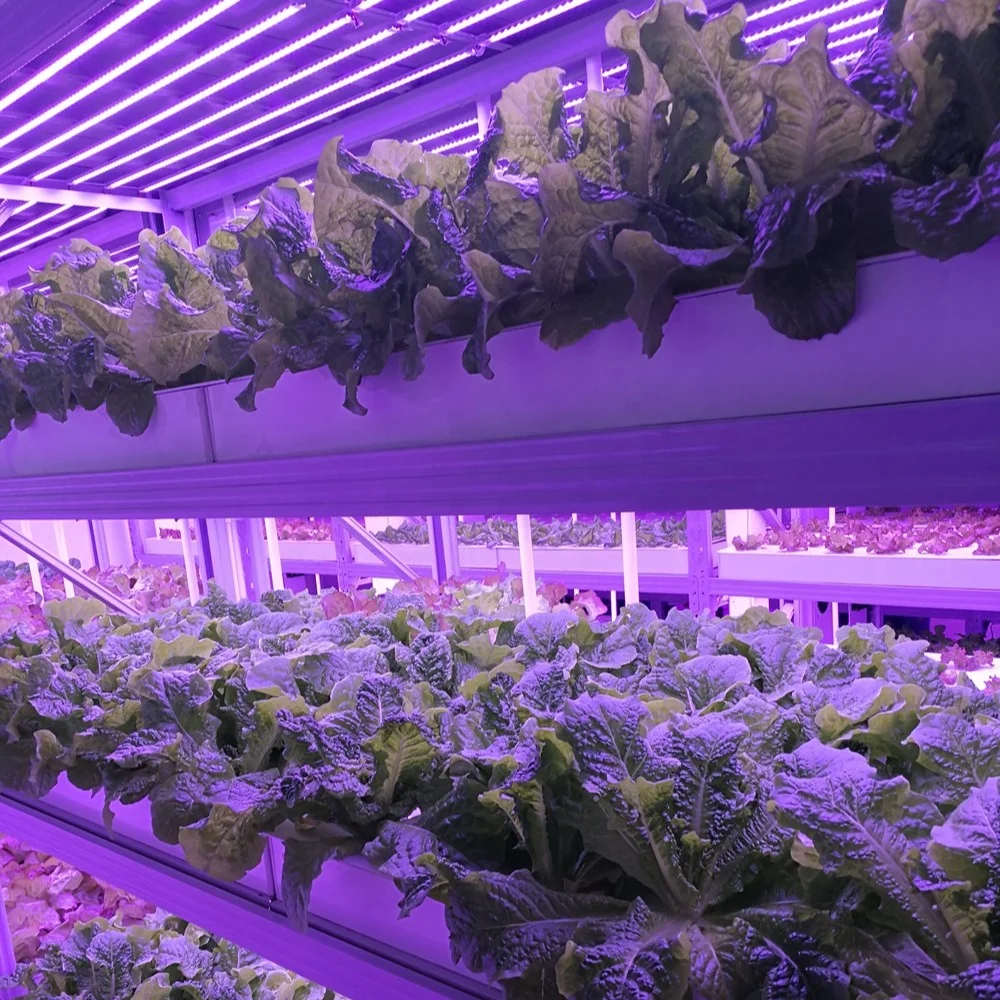 Planting System Indoor Container Farm System Planters for Indoor Plants Medical Plants Tomatoes Strawberry Vegetables Growing