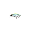 Blue Mandarin Fish