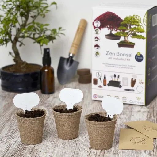 All-Inclusive-Set Realpetaled Zen Bonsai Starter Kit Japanisches Bonsai-T-Garten  Bonsai-Werkzeuge Mini-Pflanzset| Alibaba.com