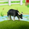 ox