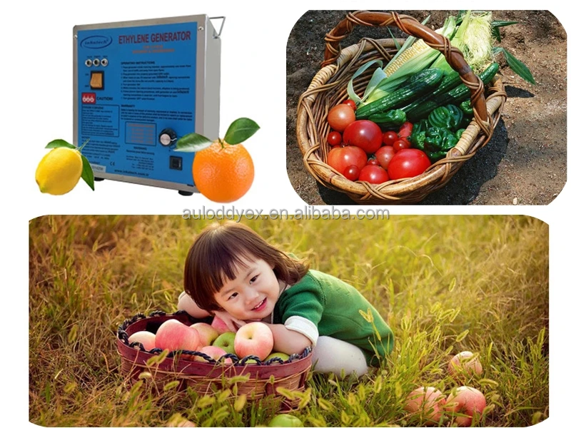Ethylene Gas Generator Ethylene Gas Fruit Ripening For Banana Mango