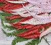 Jue leaves