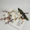 Magnolia artificiale 3