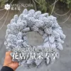 Une bague Noble flocon de neige simple face de 20 cm de diamètre