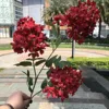 3 hortensias pagode rouge