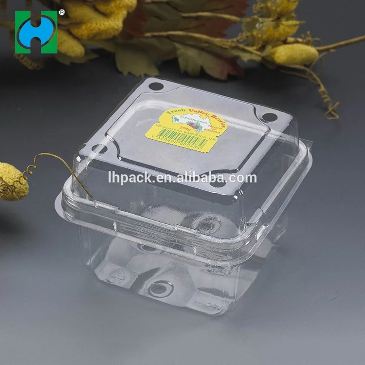 Wholesale Plastic Clamshell Container Fruit Disposable Plastic
