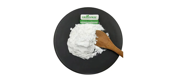 Food Grade Nootropics CAS 28319-77-9 Bulk Alpha GPC Powder 99%