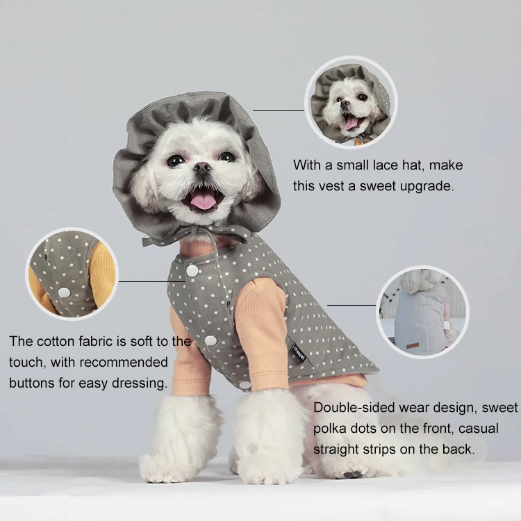 Eco Friendly China Cheap Designers Dog Clothes Luxury For Small Dogs