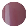 F168 - Rhodanthe