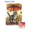 Square Drill colorful
