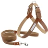 Saddle Brown