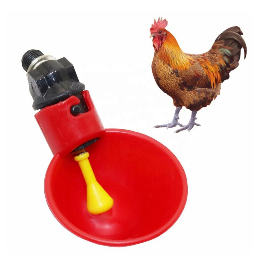 Poultry Chicken Feeder Chick Hen Quail Automatic Waterer Drinker Water Bowl New 