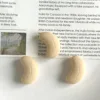 cashew