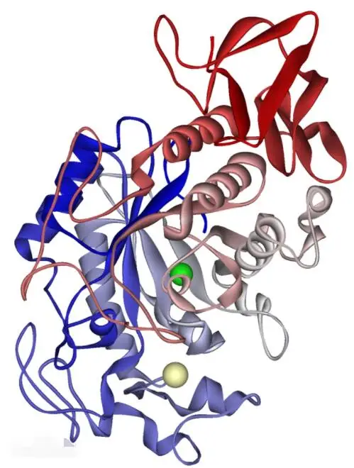 product-292-385 .jpg