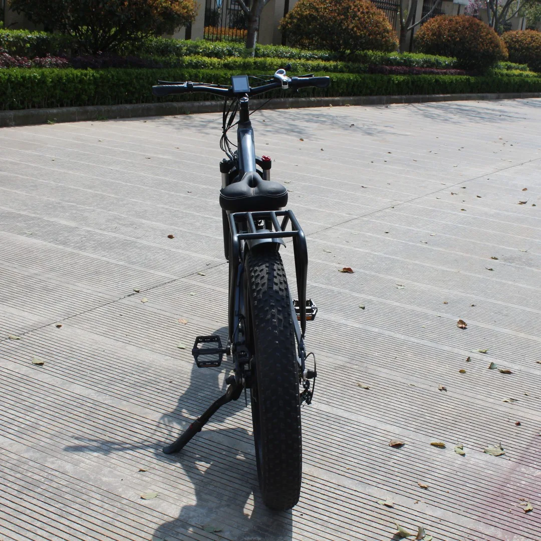 Usa Warehouse Free Shipping Electric Bicycle Full Suspension Ebike 48v