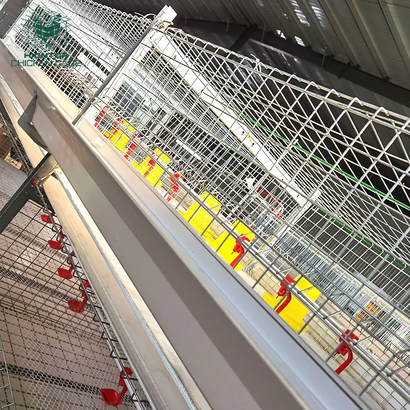Fully Automatic Battery 3 Tiers 4 Tiers H Type Poultry Farming Broiler Chicken Cage for Broiler Coop
