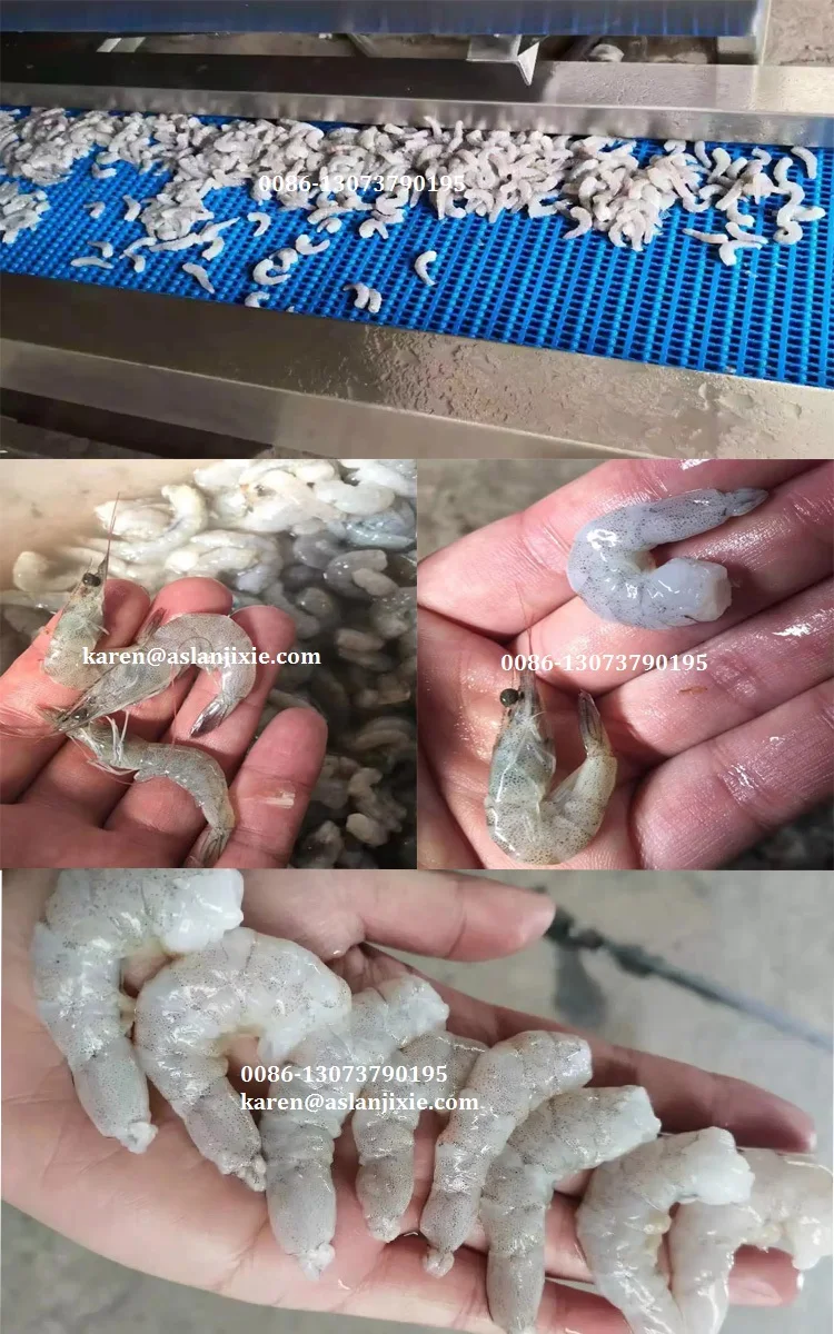 Machine Peeling Shrimp Frozen Dry Shrimp Shelling Machine Shrimp