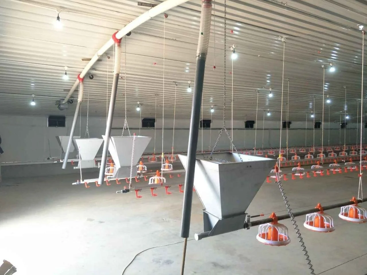 Rearing Chicken Feeding Line Automatic Chicken Feed Line Water Feeders for Chickens
