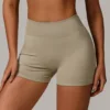 Short couleur faïence