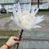 สีขาว