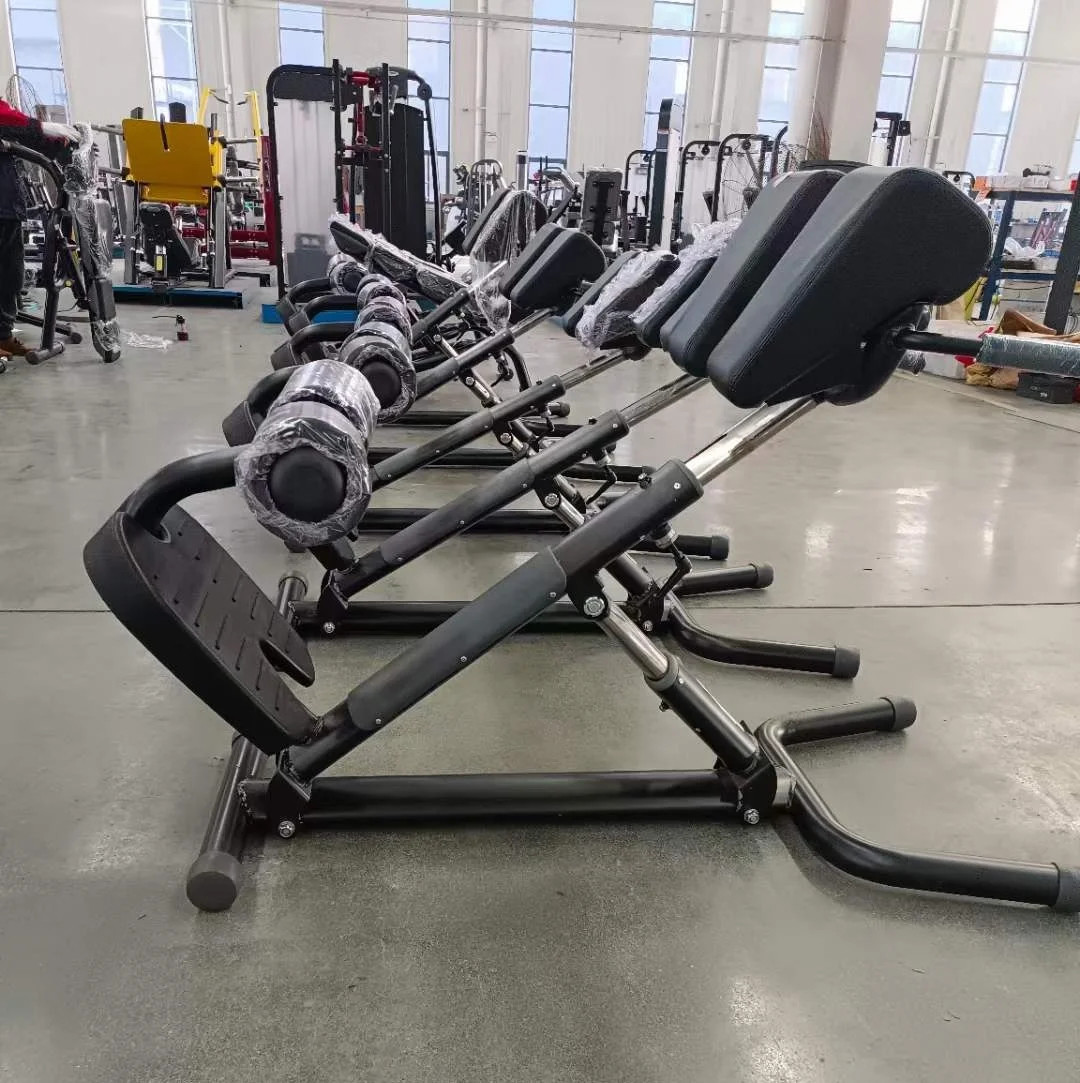 Banc d'extension en gros, banc hyper, banc romain et chaise romaine, machine de sport, machine à squat, équipement de fitness Banc d'extension en gros, banc hyper, banc romain et chaise romaine, machine de sport, machine à squat, équipement de fitness
