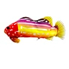 red-Tropical fish