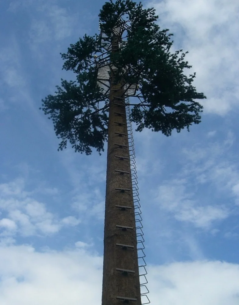 product-1-1 product-1-1