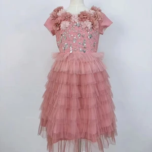 Boutique Kids Clothing Evening Gown Feather Sleeves Princess Embroidered Dress Girls Tulle Layer Tutu Cupcake Flower Girls Dress