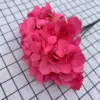 Rose Red