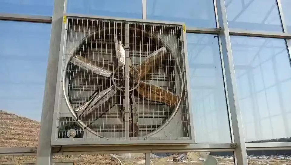 Greenhouse Ventilation Exhaust Fan, 380V, Stainless Steel - detail 4