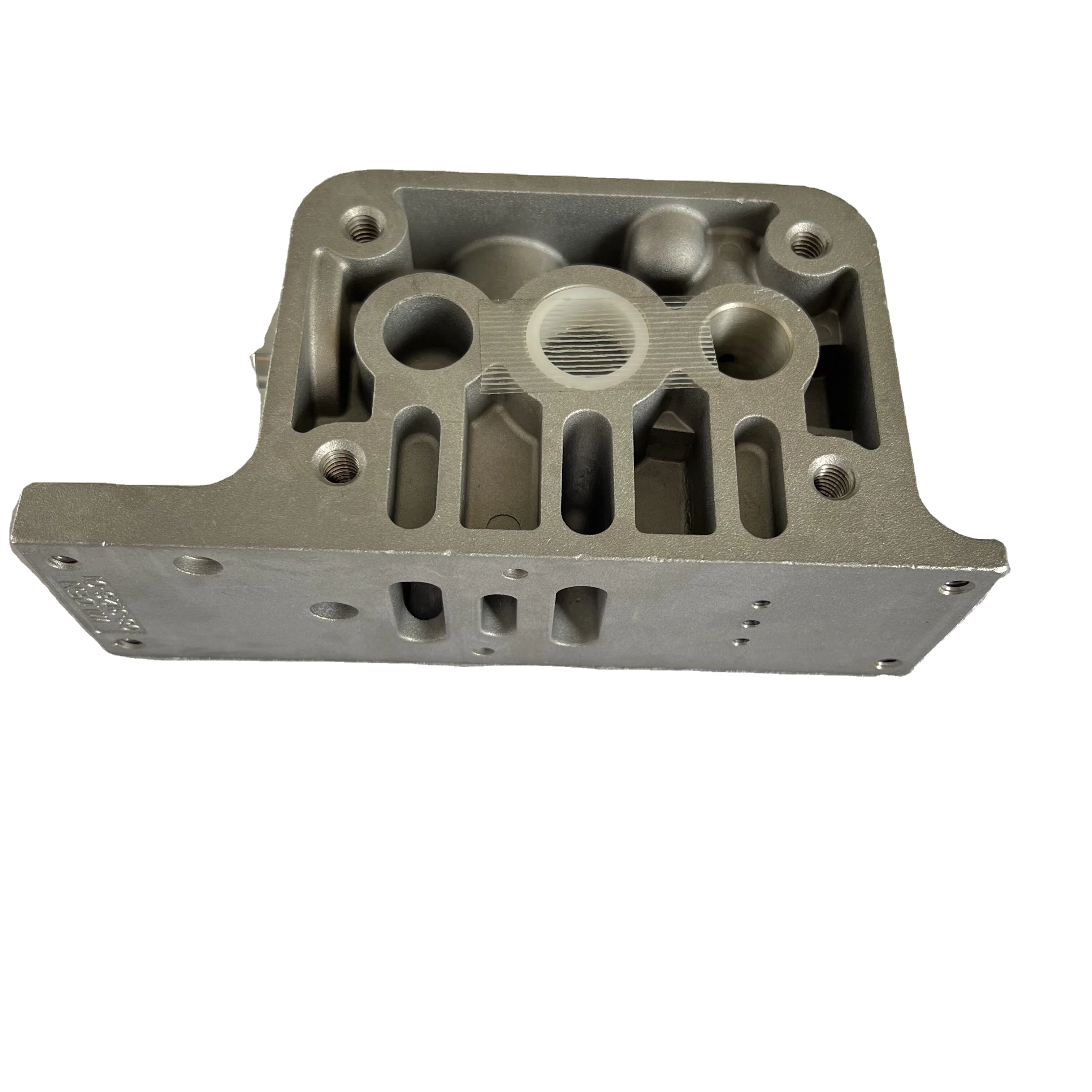 Wilden PX08/PX3126 पम्पको लागि केन्द्र ब्लक ASSY 01-4-8